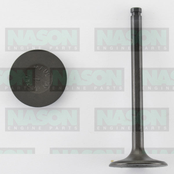 Valve Inlet HOLDEN ISUZU G161Z ETC IN2195 - NASON
