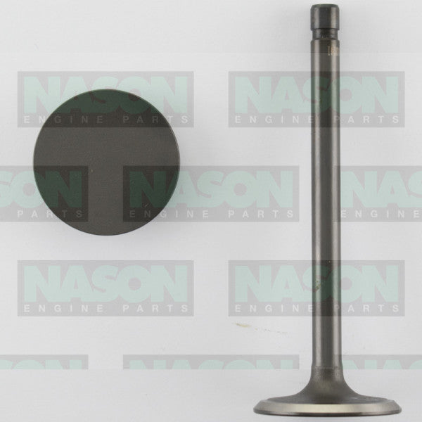 Valve Inlet HOLDEN V6 3.8L VN-VR IN3010 - NASON
