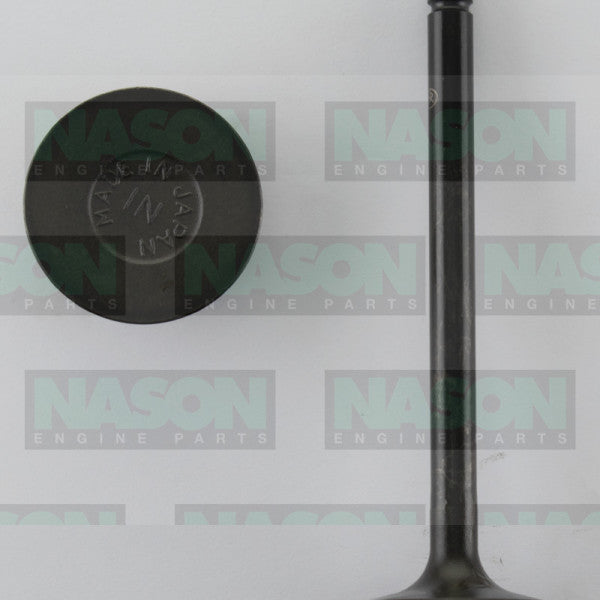 Valve Inlet TOYOTA 3B DIESEL IN3120 - NASON
