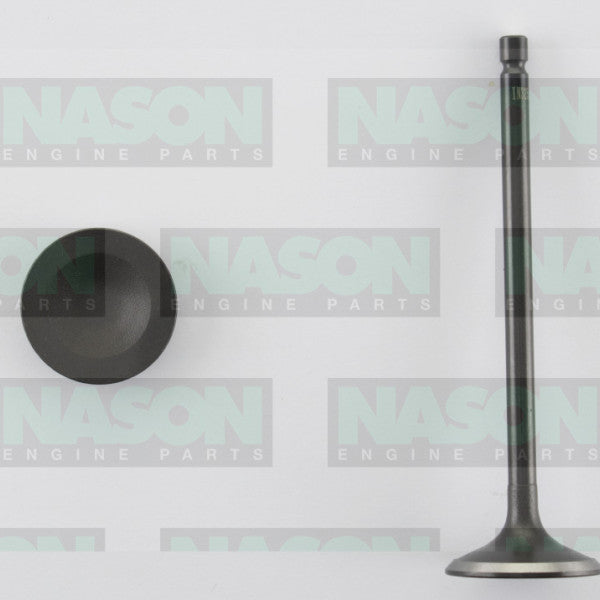 Valve Inlet MITS 4G63/64 16V 6G72/4 24V IN3252 - NASON