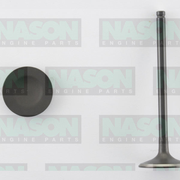 Valve Inlet HOLDEN 6VD1 6VE1 DOHC IN3304 - NASON