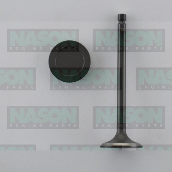 Valve Inlet HYUNDAI G4ED GETZ 1.6L DOHC IN5010 - NASON