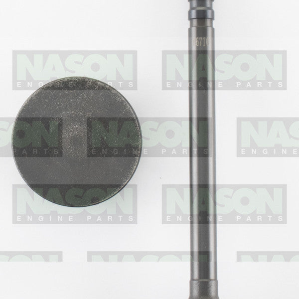 Valve Inlet HOLDEN 6 RED 1.688 HD IN6710 - NASON