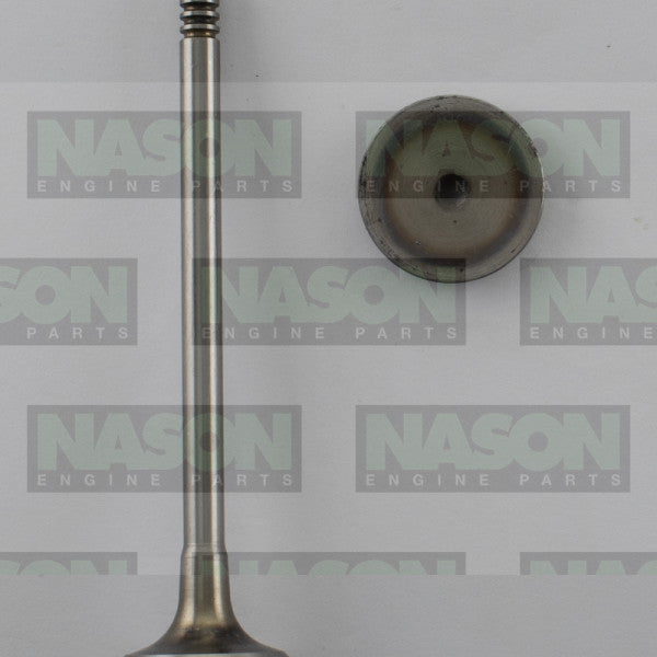 Valve Inlet NISSAN M9R DOHC 16V DIESEL IN8996 - FAI