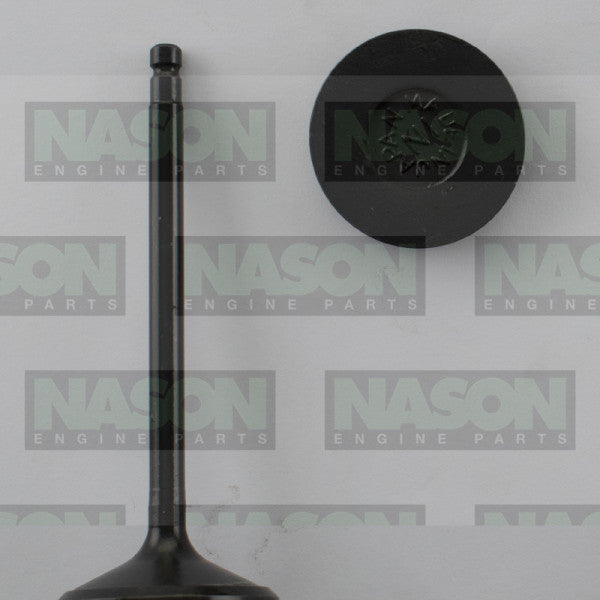 Valve Inlet NISSAN VQ40 V6 DOHC 24V IN9012 - NASON