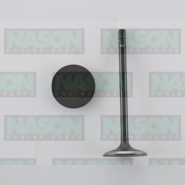 Valve Inlet HOLDEN V6 3.0L 3.2L DOHC 24v IN9036 - NASON