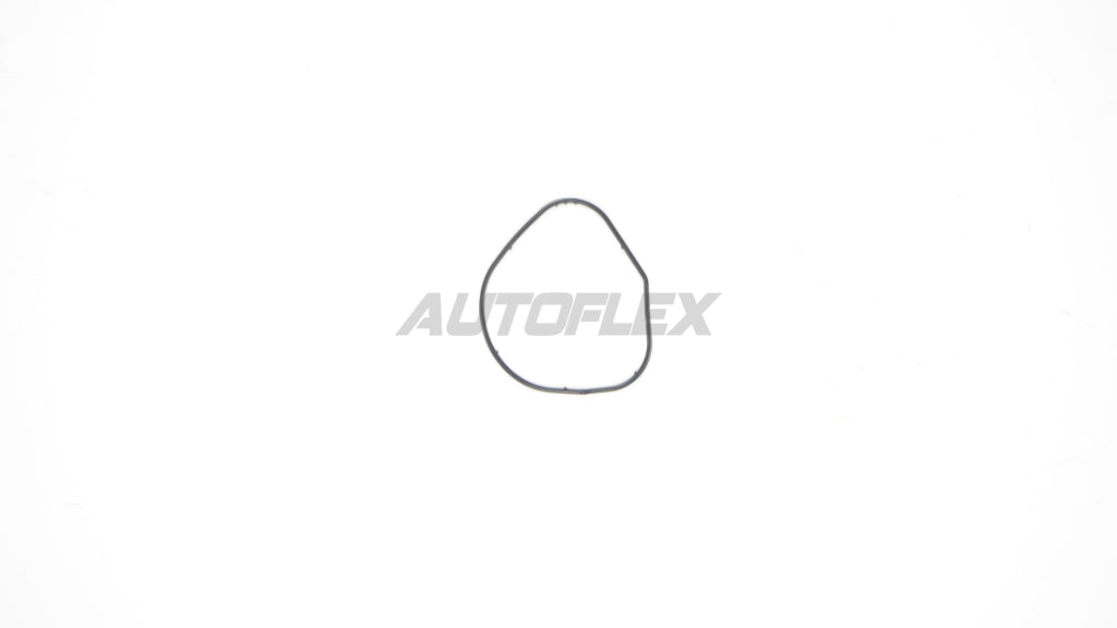 Oil Pump Gasket OPG001 - AUTOFLEX