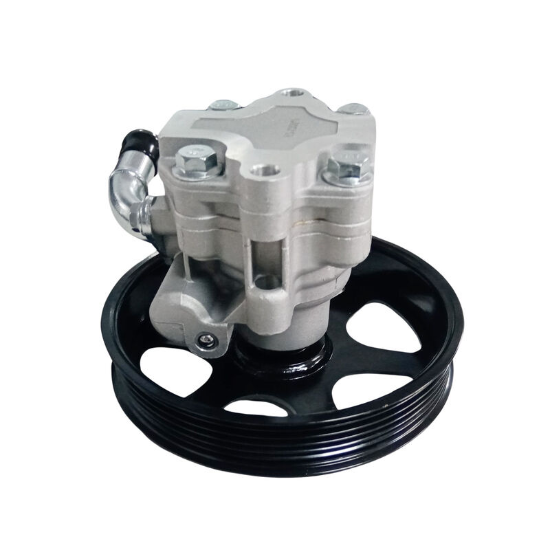 Power Steering Pump With Pulley (150mm) Fit For Holden Commodore VZ/VE/VF 08/04-12/17 - Machter