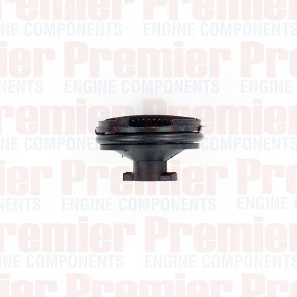 Sump Plug S/PLUG PLASTIC FORD PSP640 - PREMIER