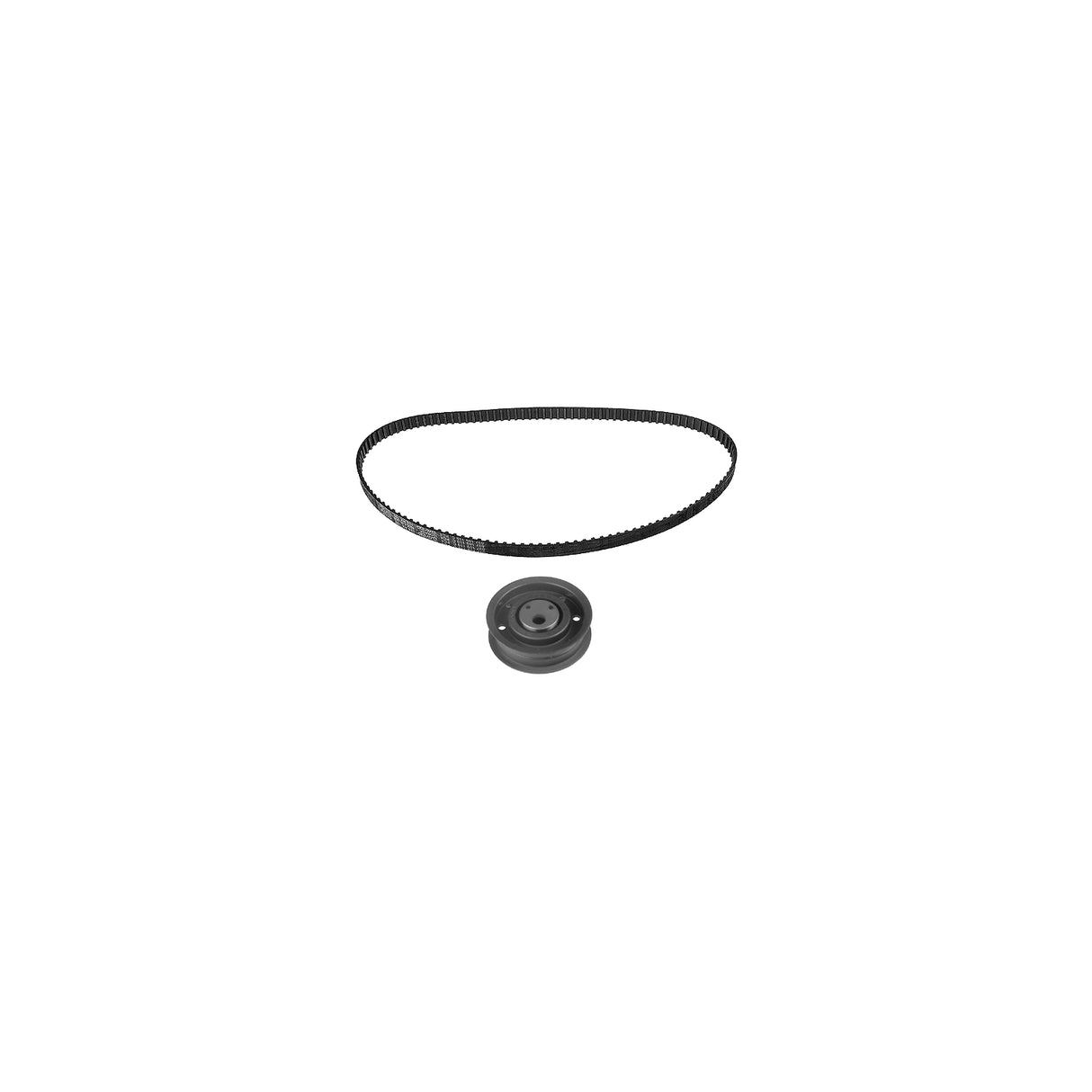 Volkswagen Ady Agg Timing Belt Kit T262AKT - Austral