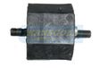 Engine Mount Fits BMW 5 - E28 (1981-1987), BMW 6 - E24 (1978-1990) REAR TEM1586 - Transgold