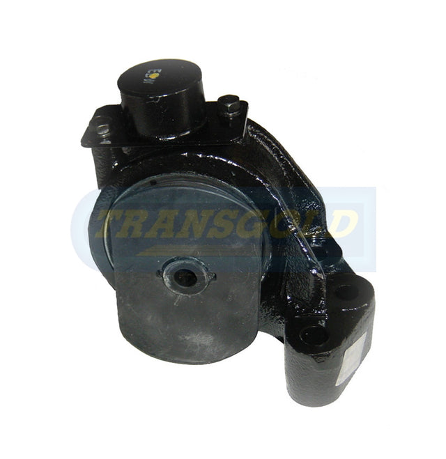 Engine Mount Fits Hyundai Grandeur XG 98-05 3.0L V6 RH TEM2051 - Transgold