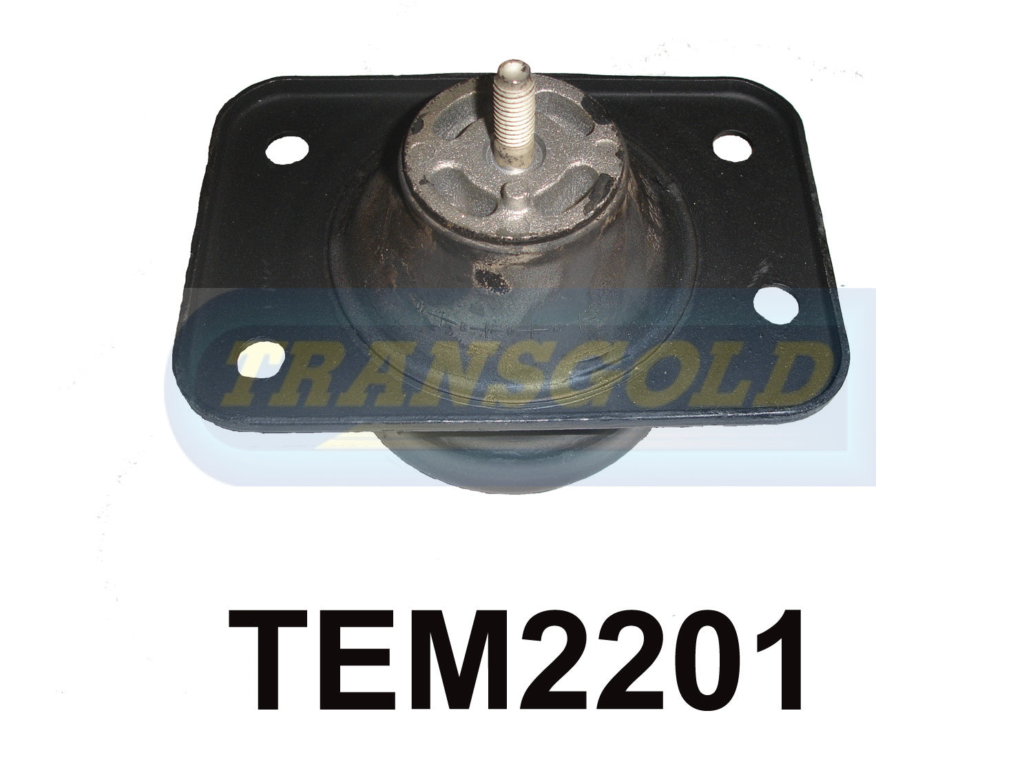 Engine Mount Fits Daewoo Tacuma U100 10/00-12/04 2.0L RH A/M TEM2201 - Transgold