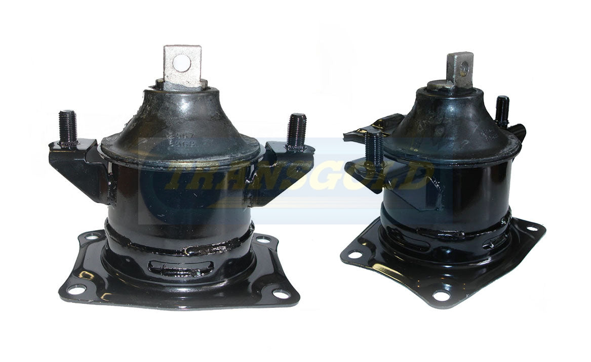 Engine Mount Hydro Fits Honda Accord CM6 03-07 3.0L V6 Rear Auto TEM2279 - Transgold
