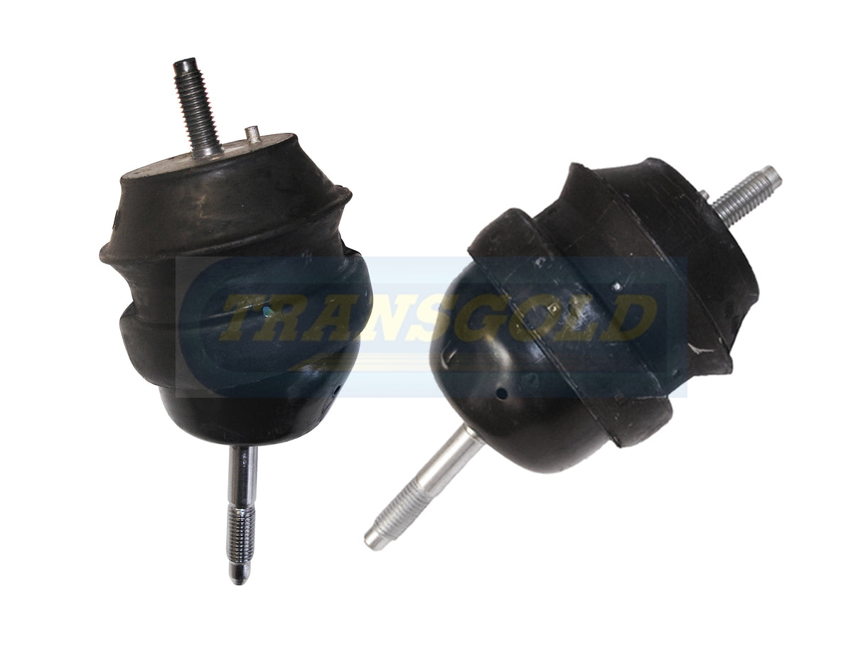 Engine Mount Hydro Fits Holden Commodore V6 06-ON F-LH/RH TEM2695H - Transgold