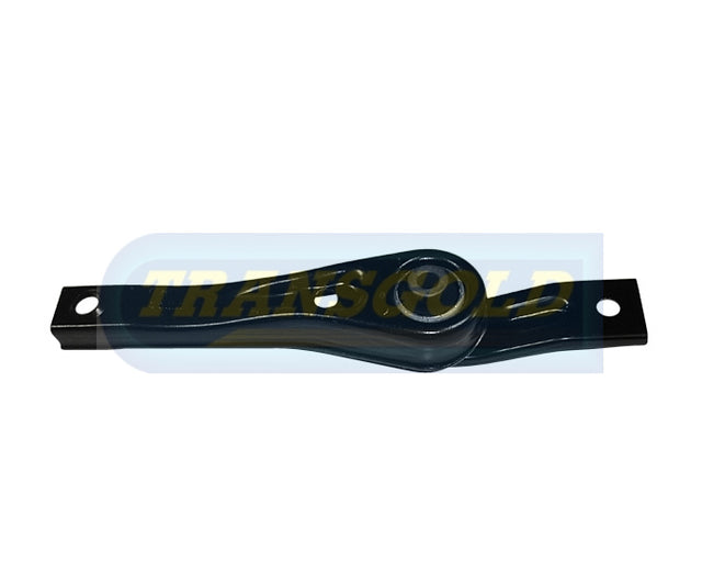 Engine Mount Fits Audi A3 (8V)/VW Golf 7 Rear Bar MT TEM3290 - Transgold