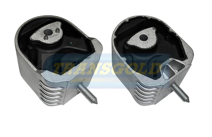 Engine Mount Fits Mercedes A/B Class 05/12 F-LH/RH 2.0L TEM3362 - Transgold