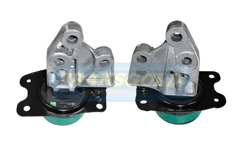 Engine Mount 2.2L Diesel LH Fits Holden Captiva (GM Gen) TEM3398 - Transgold