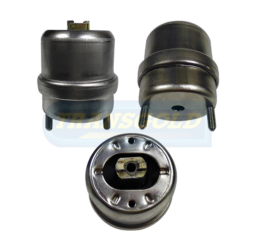 Engine Mount Fits VW Transporter T4 Hydro Front-Right TEM3482 - Transgold