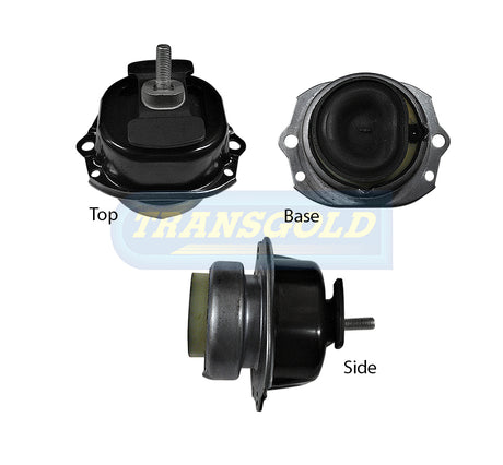 Engine Mount Fits BMW X5/X6 2007-2018 Front Left/Right 8 Cylinder Hydraulic TEM3501 - Transgold