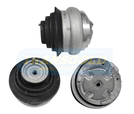 Engine Mount Fits Mercedes C/E-class 6 Cyl Front Right TEM3548 - Transgold