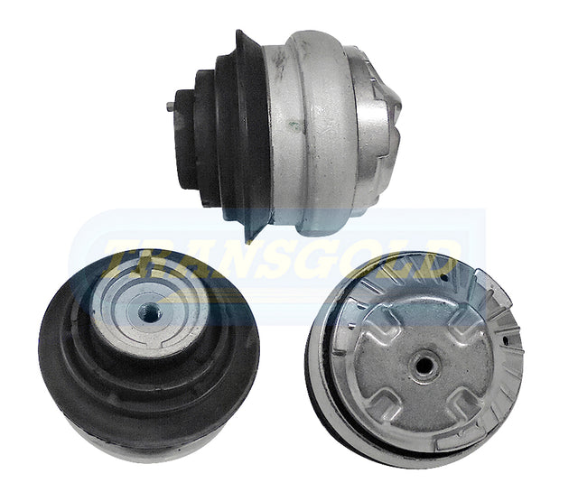 Engine Mount Fits Mercedes C/E-class 6 Cyl Front Right TEM3548 - Transgold
