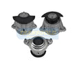Engine Mount Fits Mercedes E-class W212 Front Left/Right TEM3549 - Transgold