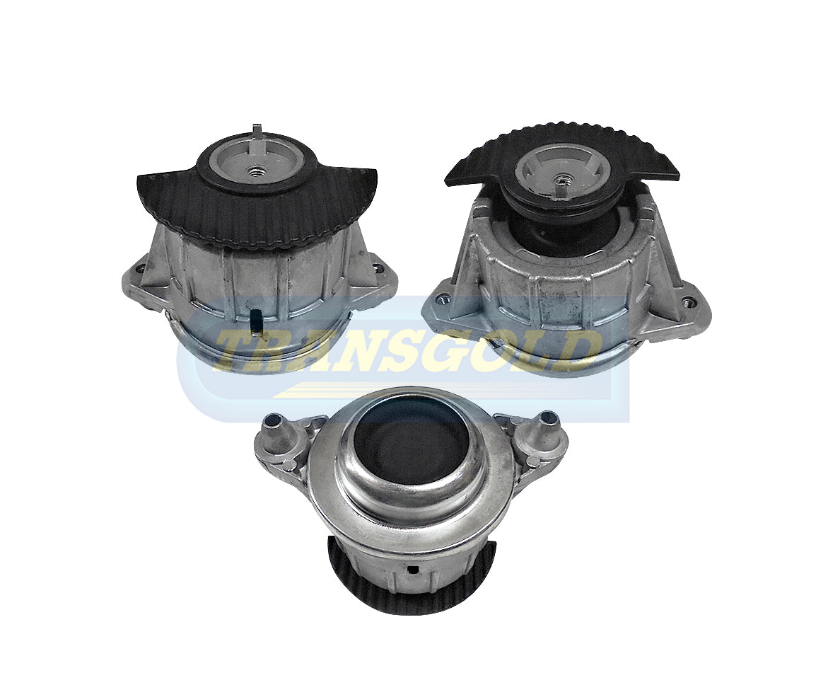 Engine Mount Fits Mercedes E-class W212 Front Left/Right TEM3549 - Transgold