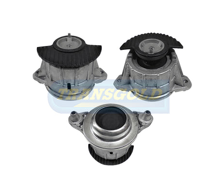 Engine Mount Fits Mercedes E-class W212 Front Left/Right TEM3549 - Transgold