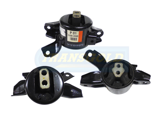 Engine Mount Fits Hyundai I30 1.6L Diesel Front Left TEM3616 - Transgold