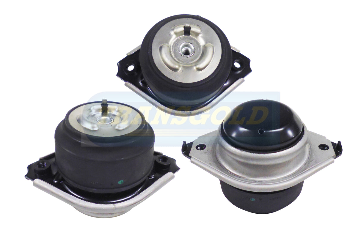 Engine Mount Fits Mercedes ML (W164) Petrol Front Left TEM3734 - Transgold