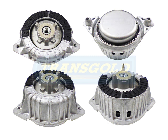 Engine Mount Fits Mercedes E-class (W212) Front Left Diesel TEM3738 - Transgold