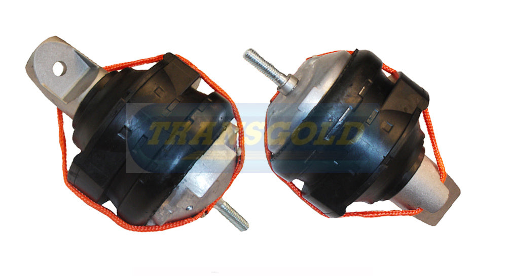 Engine Mount Fits Ford Territory SZ Front Right-Hand TEM3831H - Transgold