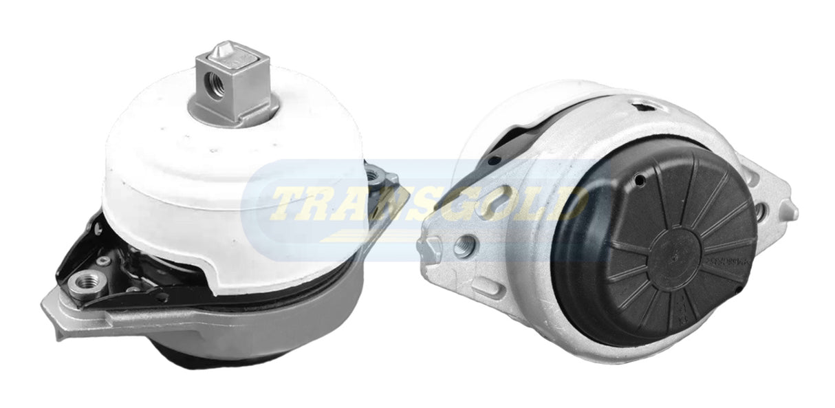 Engine Mount Fits Mercedes (W166) ML63, GLE GLS 63 Front Left TEM3886 - Transgold