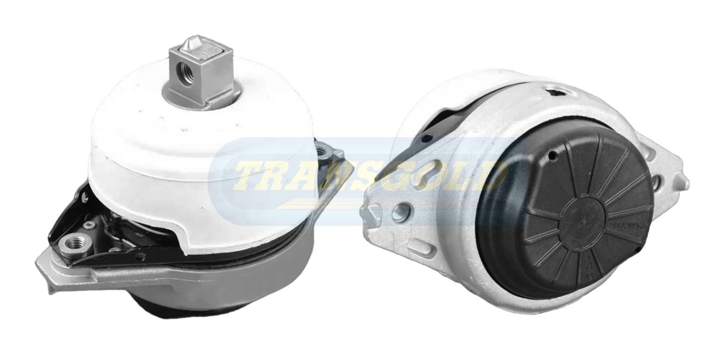 Engine Mount Fits Mercedes (W166) ML63, GLE GLS 63 Front Left TEM3886 - Transgold