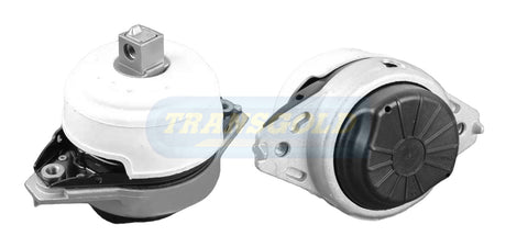 Engine Mount Fits Mercedes (W166) ML63, GLE GLS 63 Front Left TEM3886 - Transgold