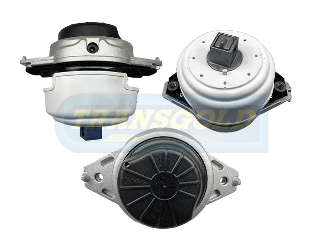 Engine Mount Fits Mercedes (W166) ML63, GLE GLS 63 Front Right TEM3887 - Transgold