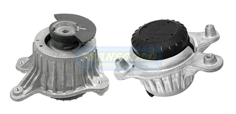 Engine Mount Fits Mercedes C-class (W205) Front Left TEM3888 - Transgold