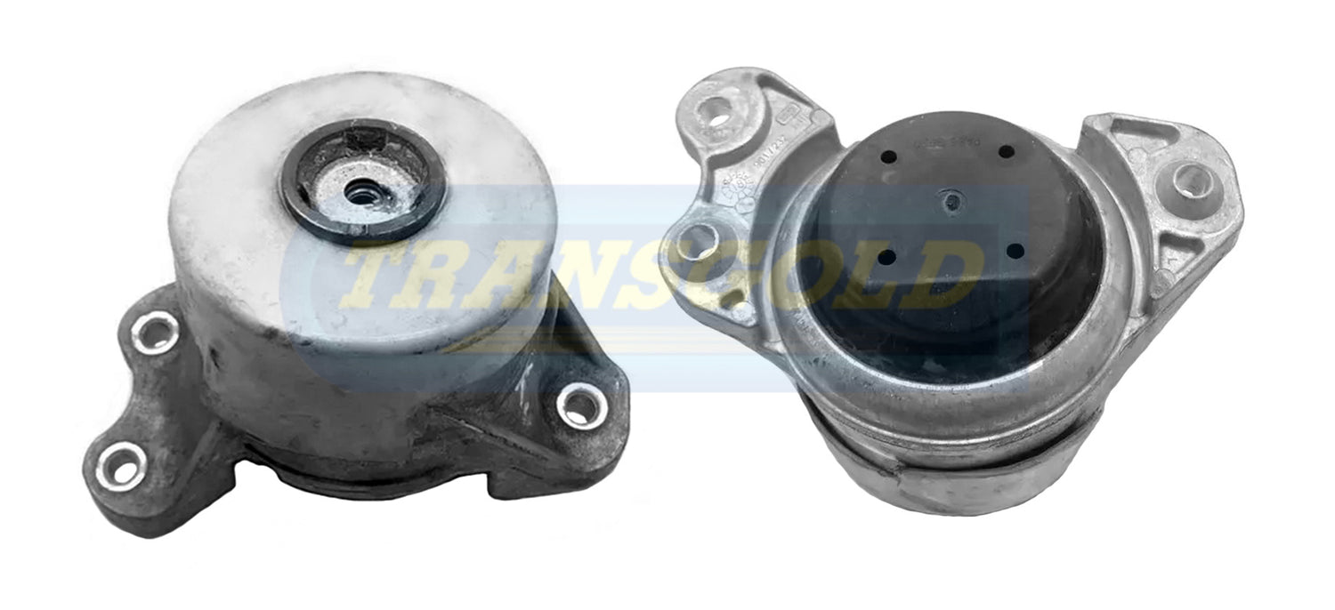 Engine Mount Fits Mercedes C-class (W205) Diesel Front Left TEM3896 - Transgold