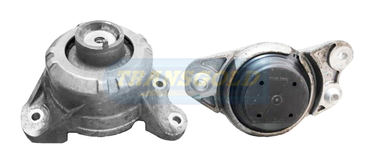 Engine Mount Fits Mercedes C-class (W205) Diesel Front Right TEM3897 - Transgold