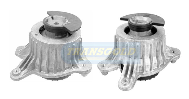 Engine Mount Fits Mercedes E-class (W213) Front Right TEM3898 - Transgold