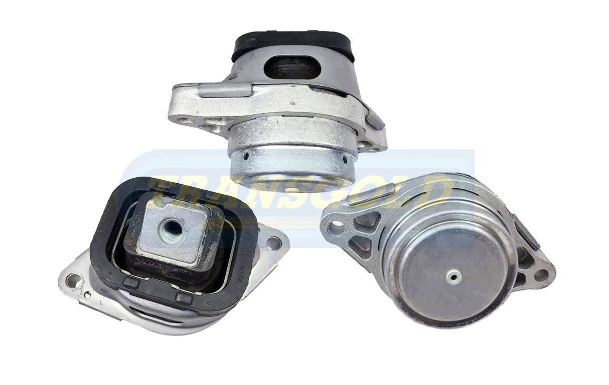 Engine Mount Fits Range Rover III L322 Front Left-Hand Side TEM3919 - Transgold