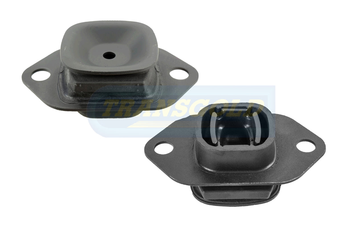 Engine Mount Fits Nissan Qashqai J11 2.0L CVT MR20DD Front Left TEM3924 - Transgold