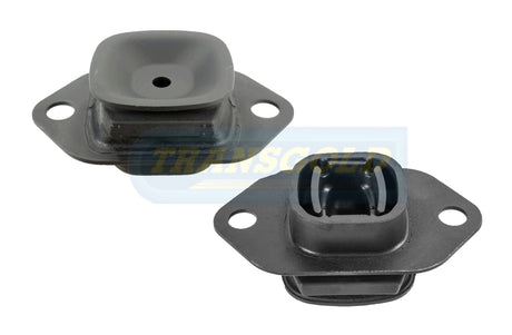 Engine Mount Fits Nissan Qashqai J11 2.0L CVT MR20DD Front Left TEM3924 - Transgold