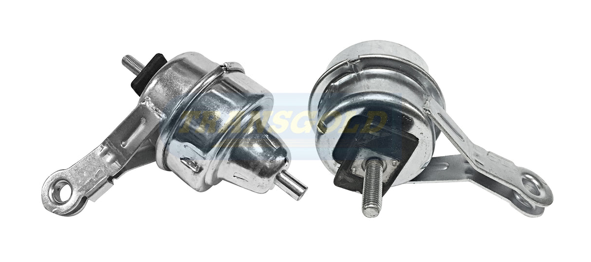 Engine Mount Fits Mini Cooper R50, 52, 53 Front Right TEM3946 - Transgold