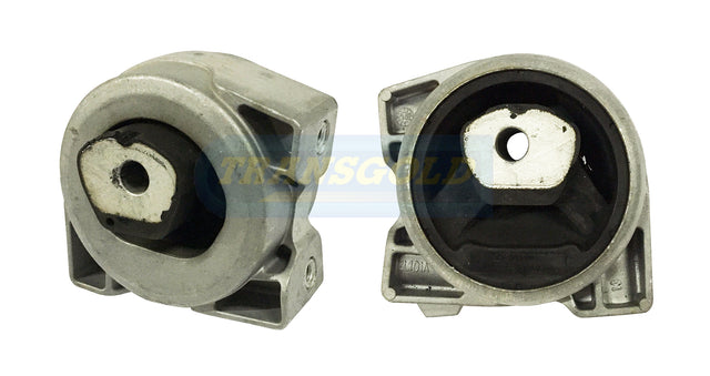 Engine Mount Rear Left-Hand Side Fits Merc A/B (W169 / W245) TEM4032 - Transgold | Universal Auto Spares