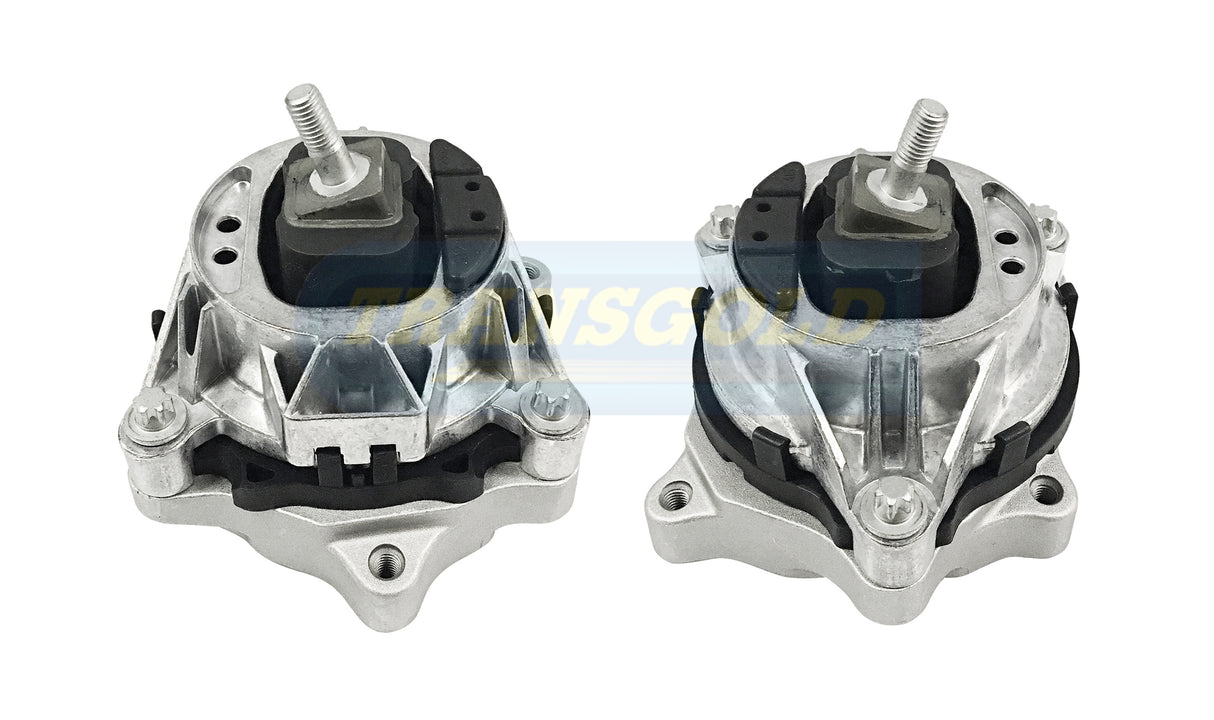 Engine Mount Front Left-Hand Fits BMW F30, F80 3 Series TEM4092 - Transgold | Universal Auto Spares