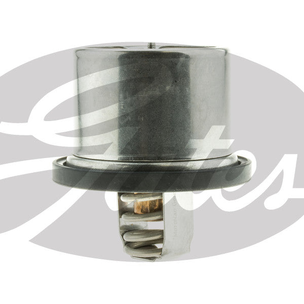 Thermostat THERMOSTAT TH56289G1 - GATES