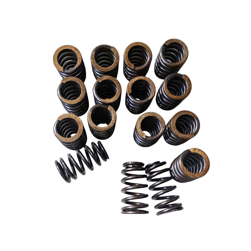 Valve Springs PAC-1218 Fit For GM LQ9 LQ4 LS LS1 LS3 LS6 LS2 4.8 5.3 6.0 6.2 .600" VS-1218 - Machter