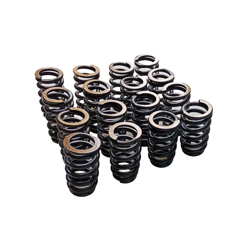 Valve Springs PAC-1218 Fit For GM LQ9 LQ4 LS LS1 LS3 LS6 LS2 4.8 5.3 6.0 6.2 .600" - Machter